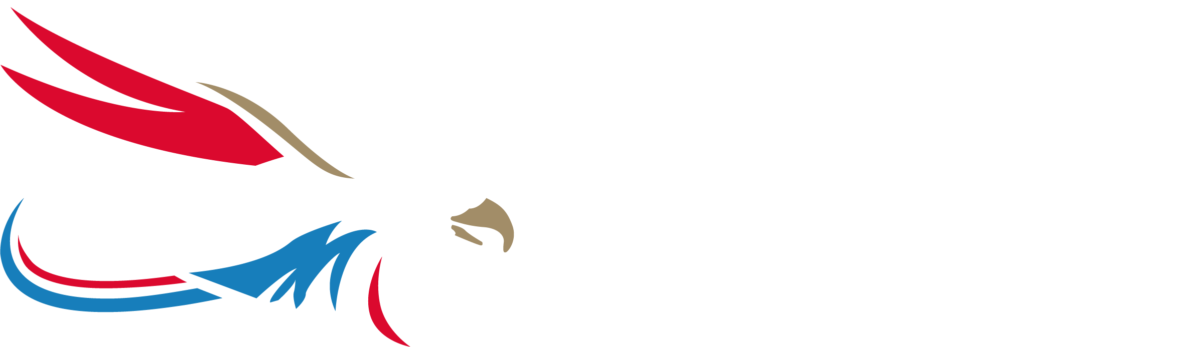 Race To Freedom Summit Logo